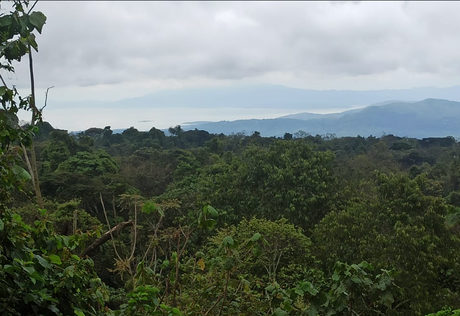 Mission image 3